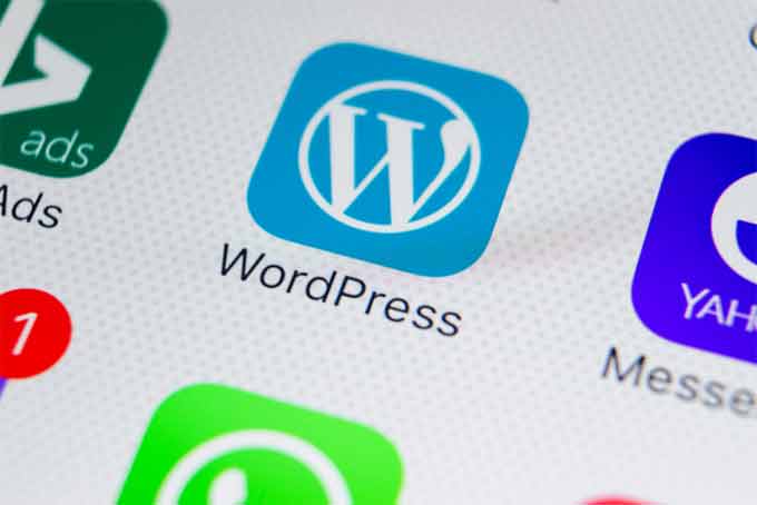 You are currently viewing How you Can Maintain the WordPress Website?
