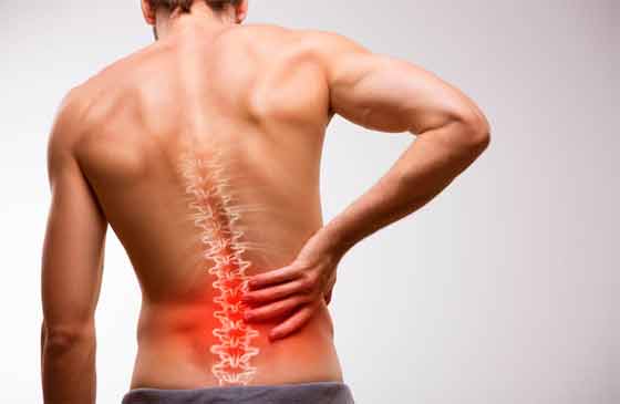 Main difference between muscle and bone pain